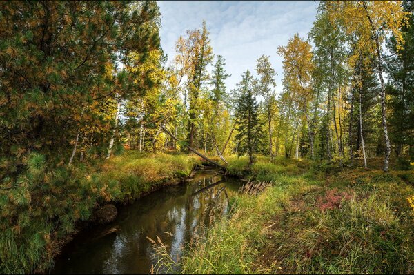 Autumn landscape over a small river