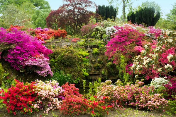 Ein Garten mit Moos und Blumen bedeckten Landschaften in Wales