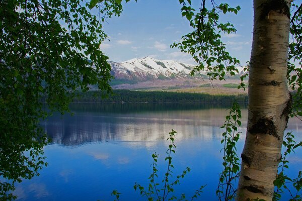 Nature of the lake, snow-white mountains in the distance