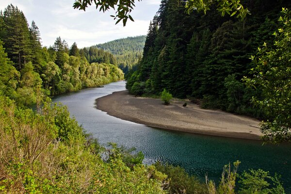 Rivière de montagne dans la forêt