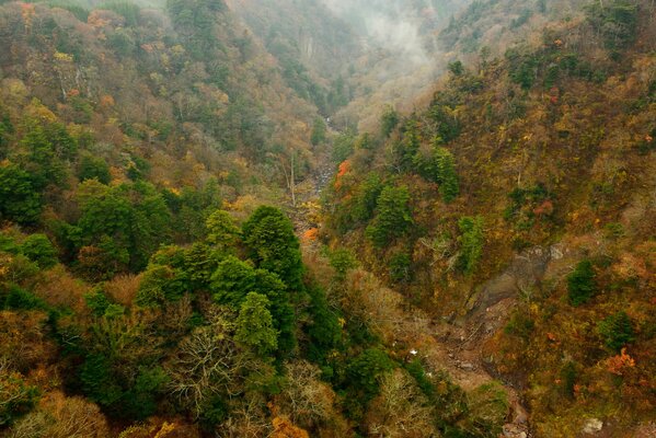 Herbstwald, Berge und Hang