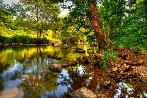 Landscape of the lake near the rocky shore