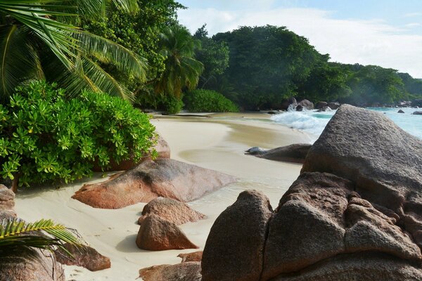 Spiaggia di sabbia tropicale e mare