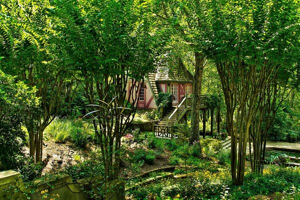 Maison dans la forêt parmi les arbres