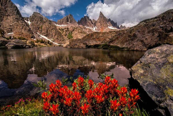 Lago de montaña con hermosas flores