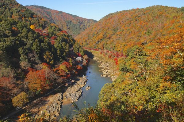 Autumn, mountain forest river