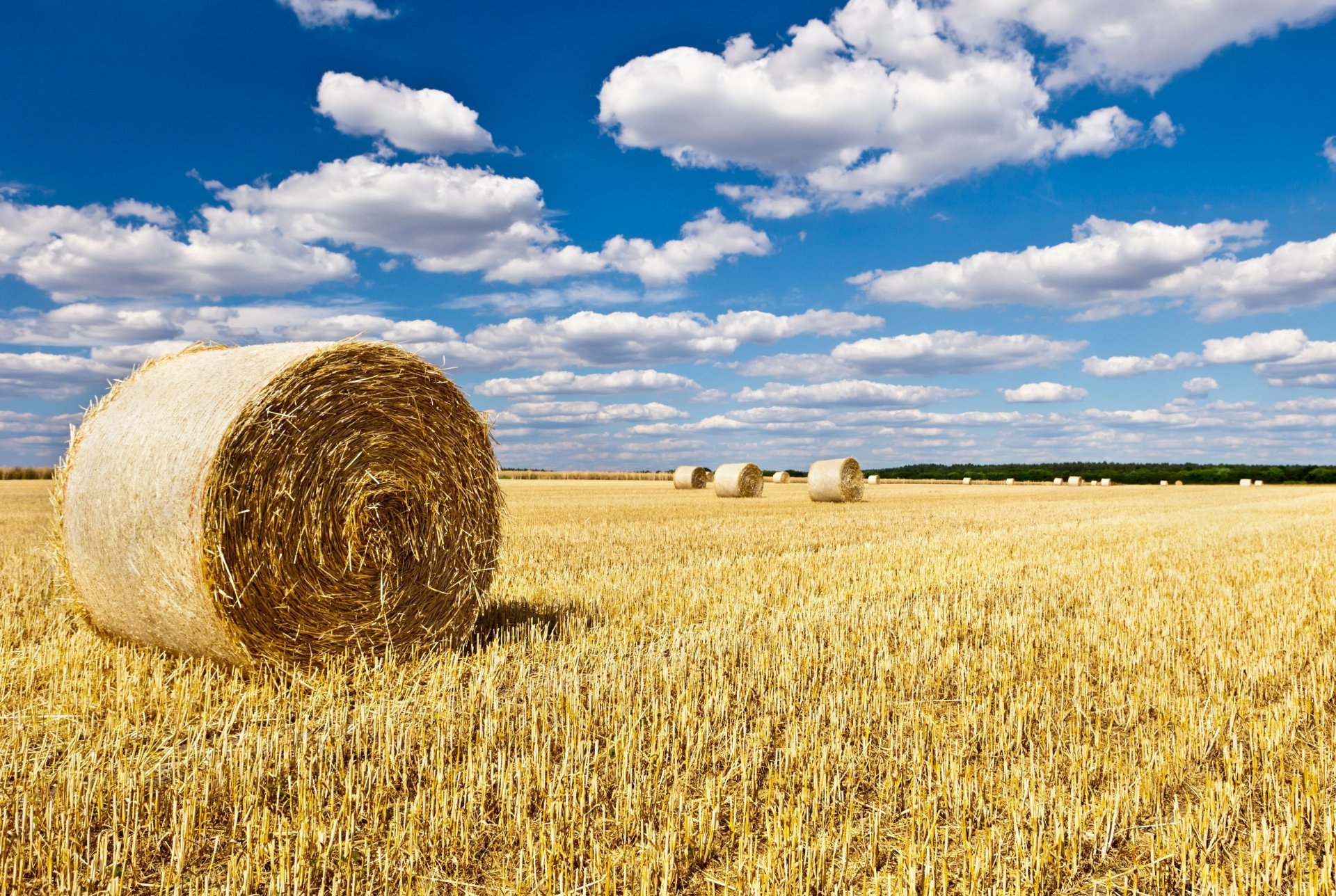 natura paesaggio campo campo pagliaio fieno cielo sfondo carta da parati widescreen schermo intero widescreen widescreen