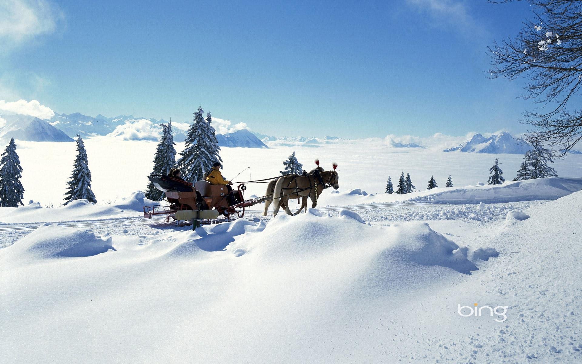 hiver neige gel traîneau chevaux personnes sapin arbre de noël lumière soleil météo humeur ciel nuages montagnes horizon