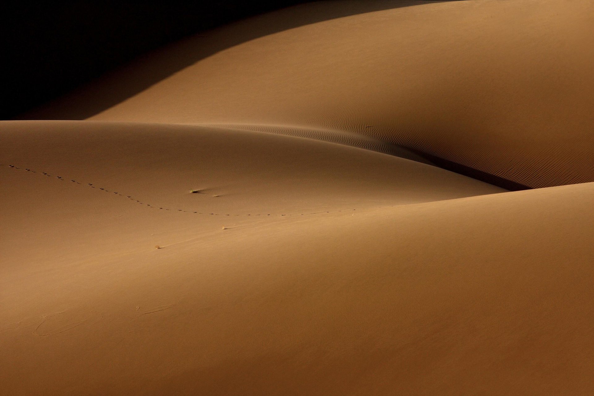 désert et homme torse désert sable