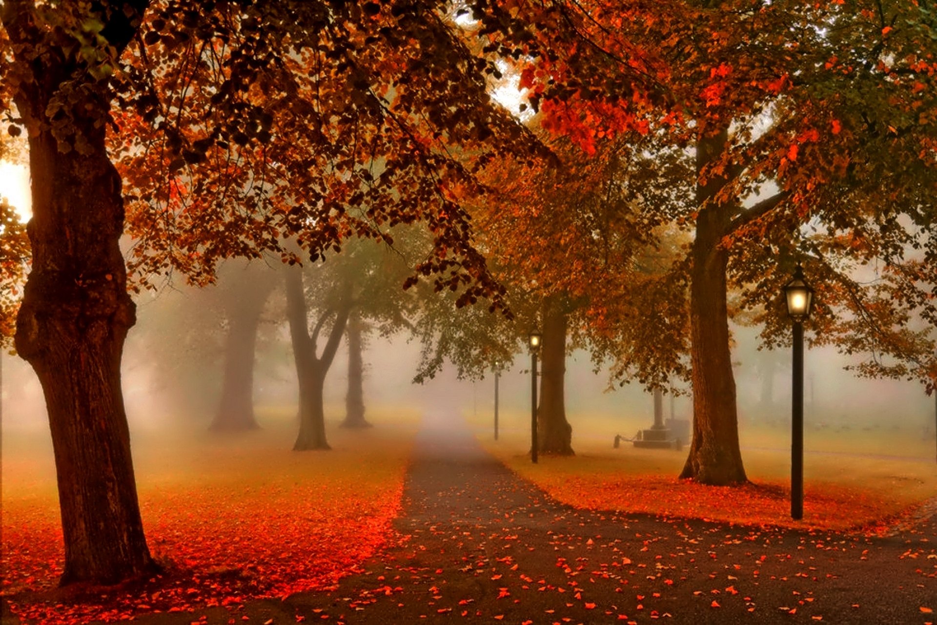 otoño puesta de sol linterna naturaleza parque árboles hojas callejón ver paseo alley linternas