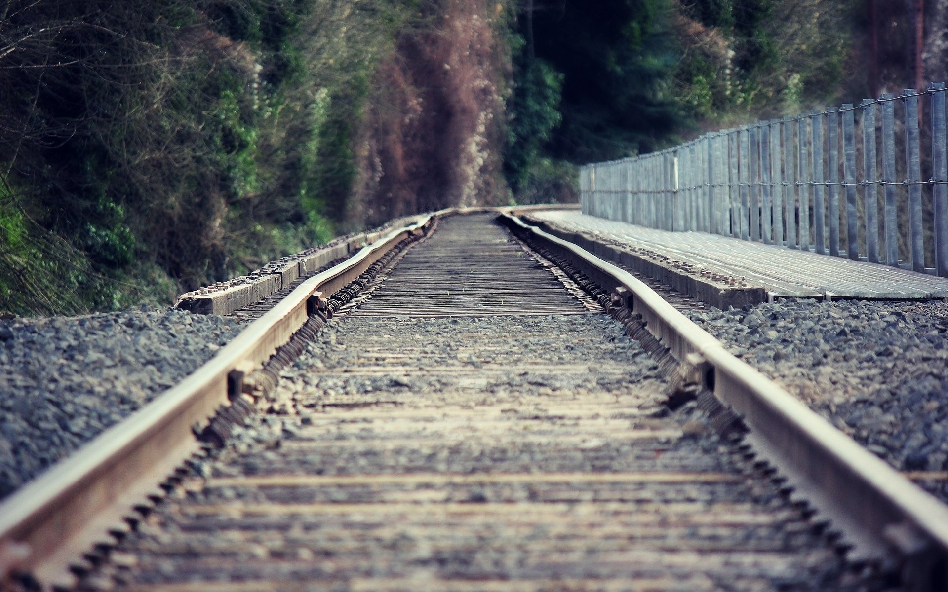 nature close up rails road track fencing tree leaves blur background wallpaper widescreen full screen hd wallpapers fullscreen