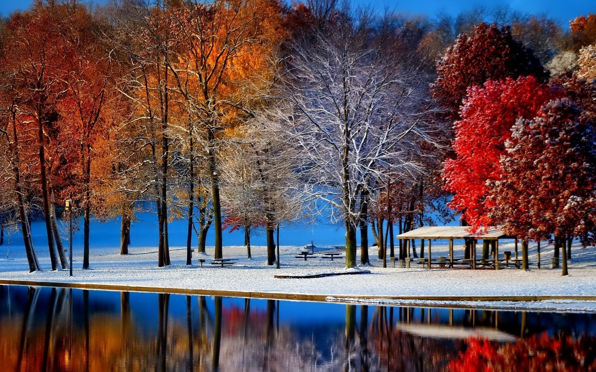 paysage hiver automne arbres parc étang eau neige givre feuilles pourpre