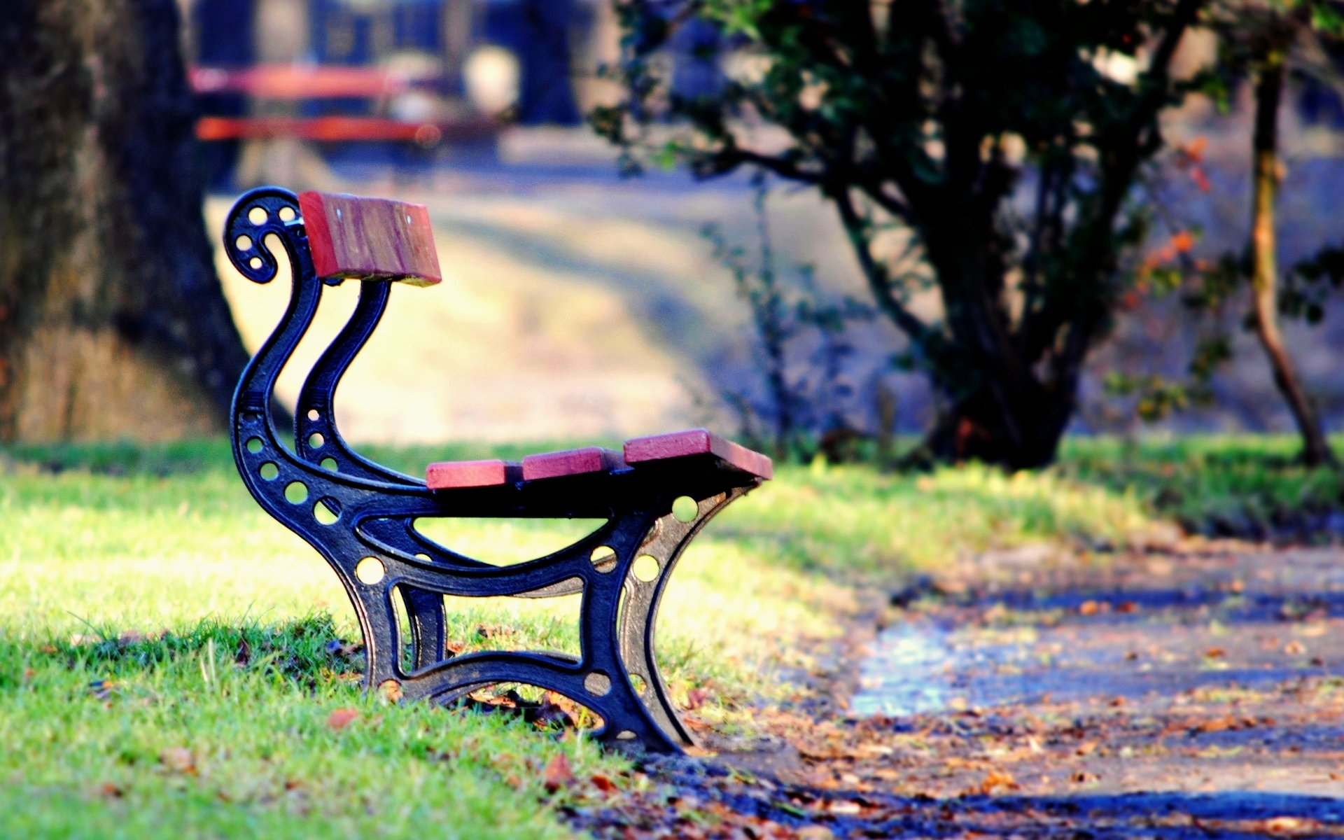 mood bench bench lava bench park square leaves leaf fall grass greenery path autumn trees tree foliage background wallpaper widescreen fullscreen widescreen widescreen