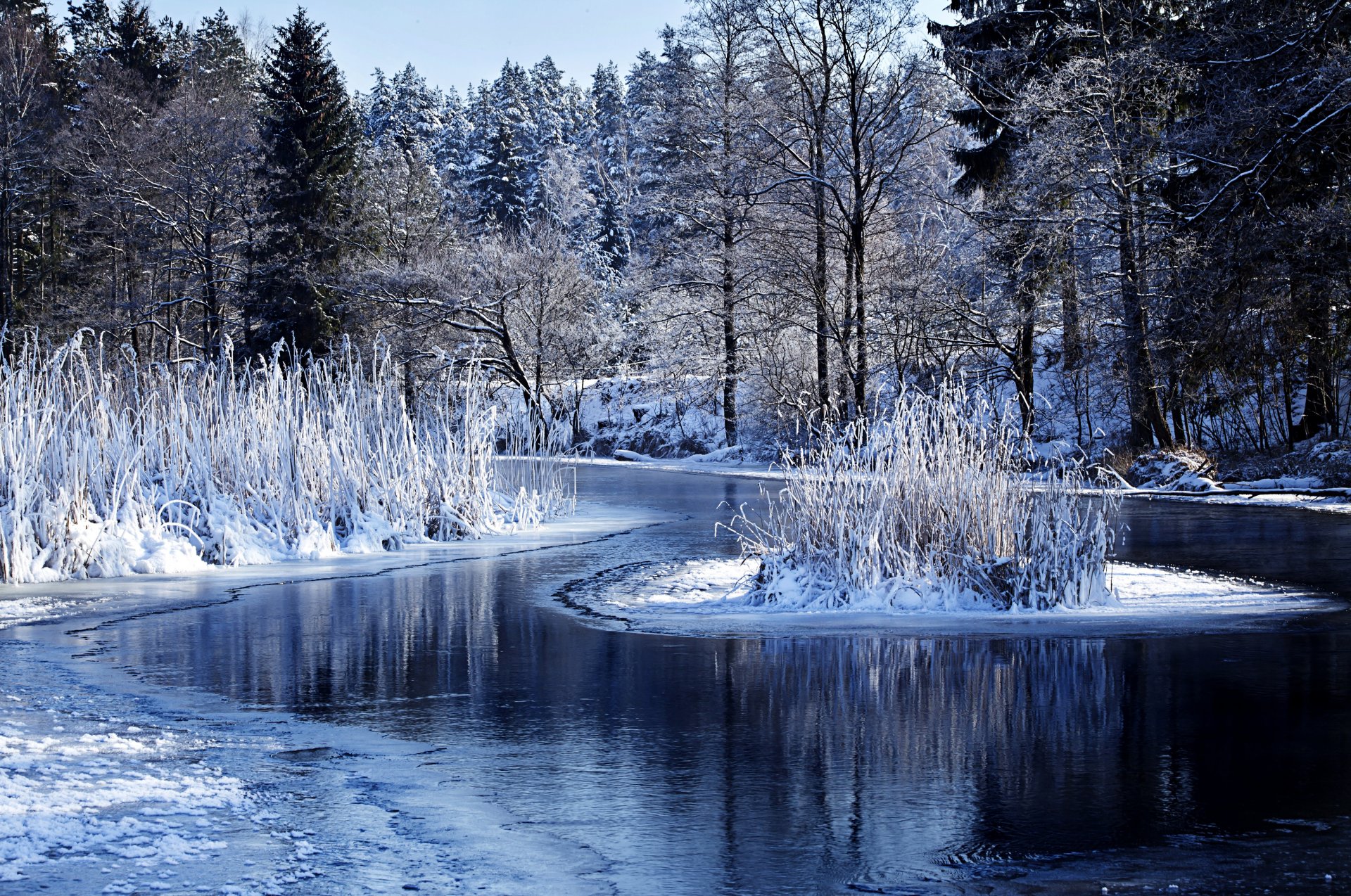 invierno naturaleza bosque lago agua nieve árboles arbustos