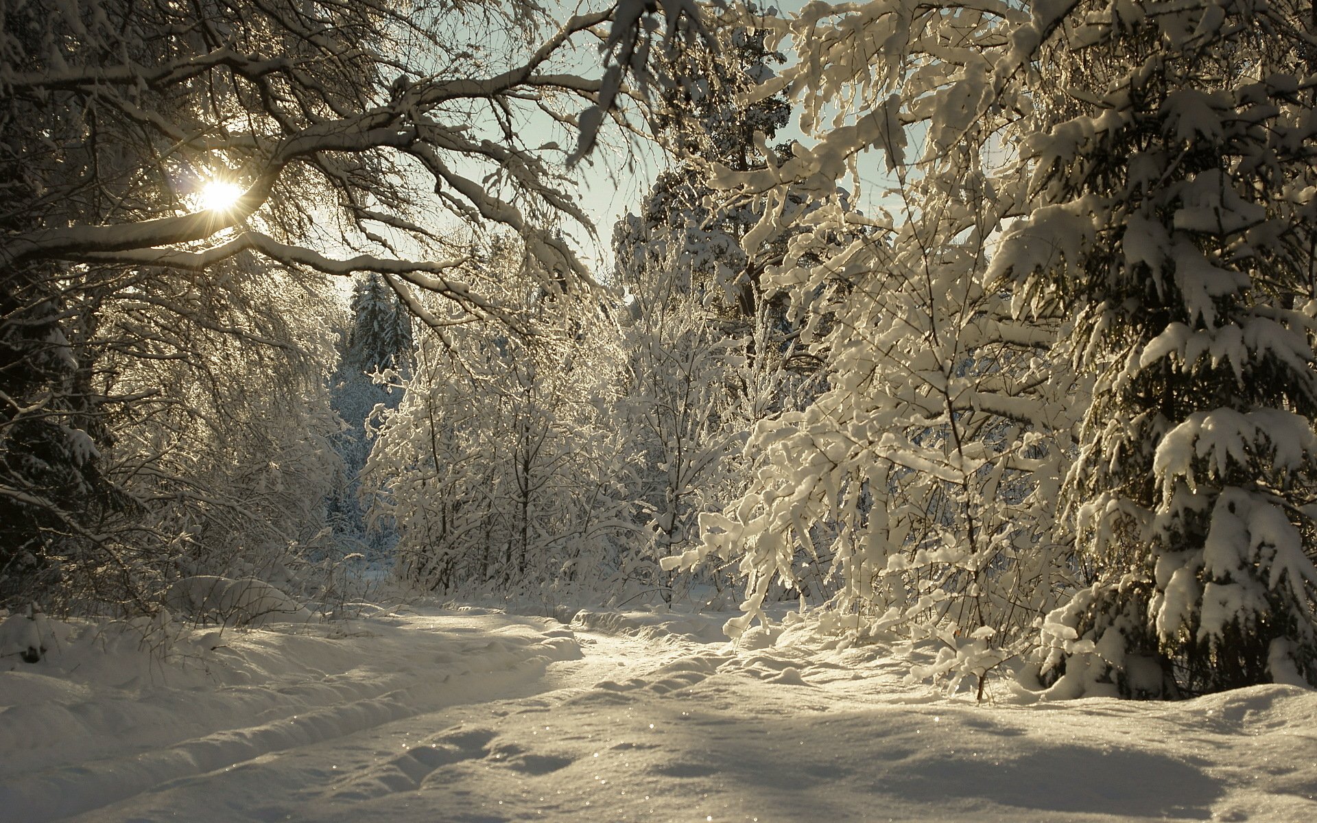 winter schnee landschaft