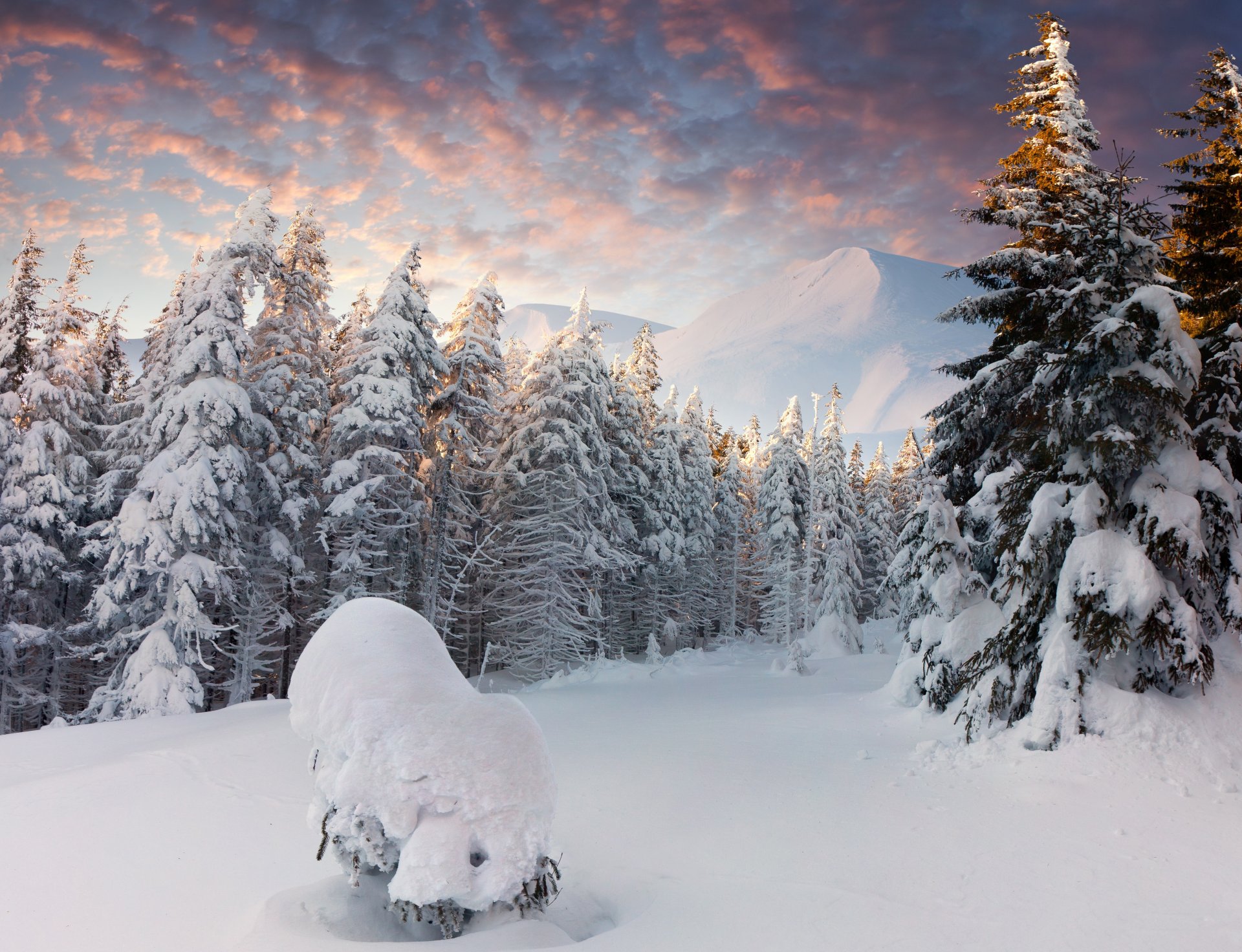 foresta neve inverno montagne cumuli di neve nuvole