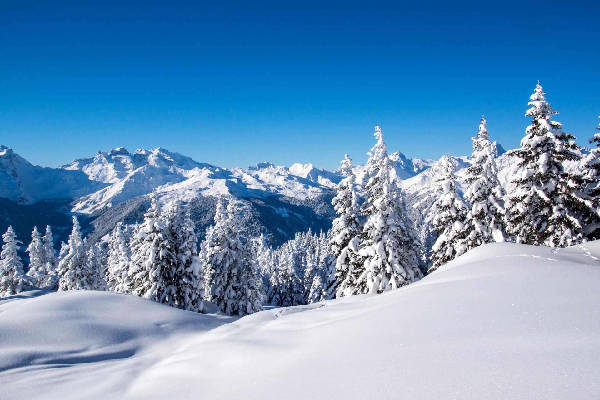 invierno montañas nieve árboles abeto cielo azul naturaleza paisaje