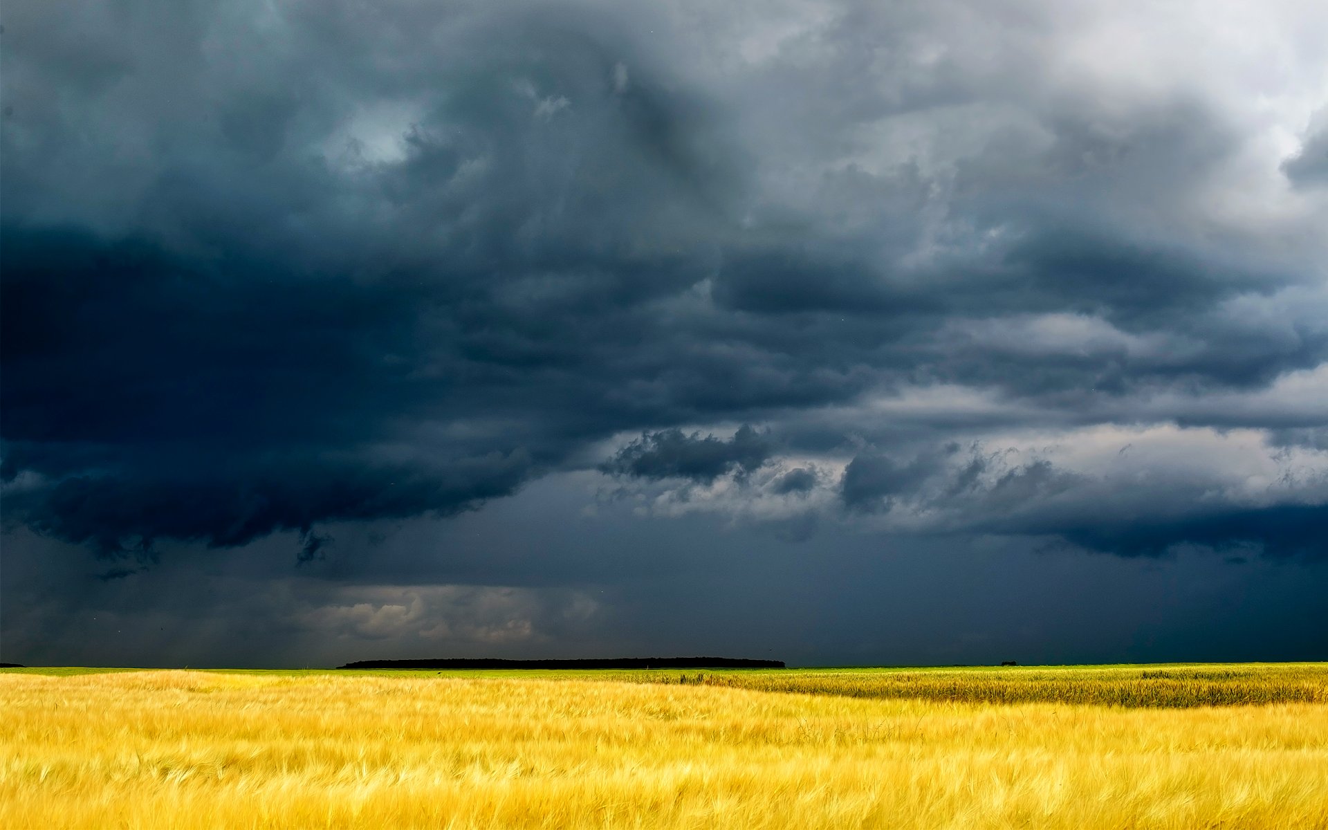 wolken feld gelb düster gras