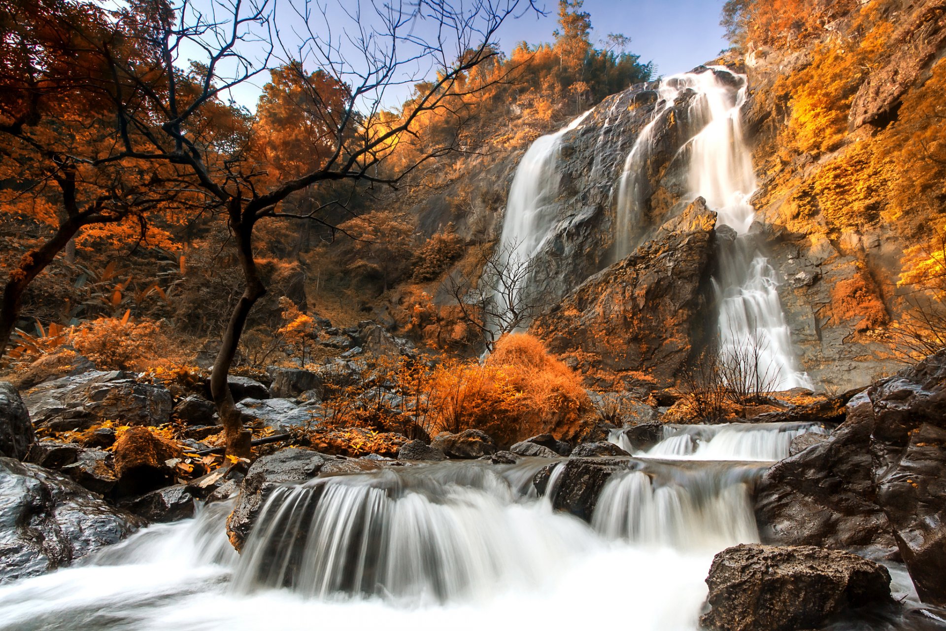 autumn forest rock waterfall feed