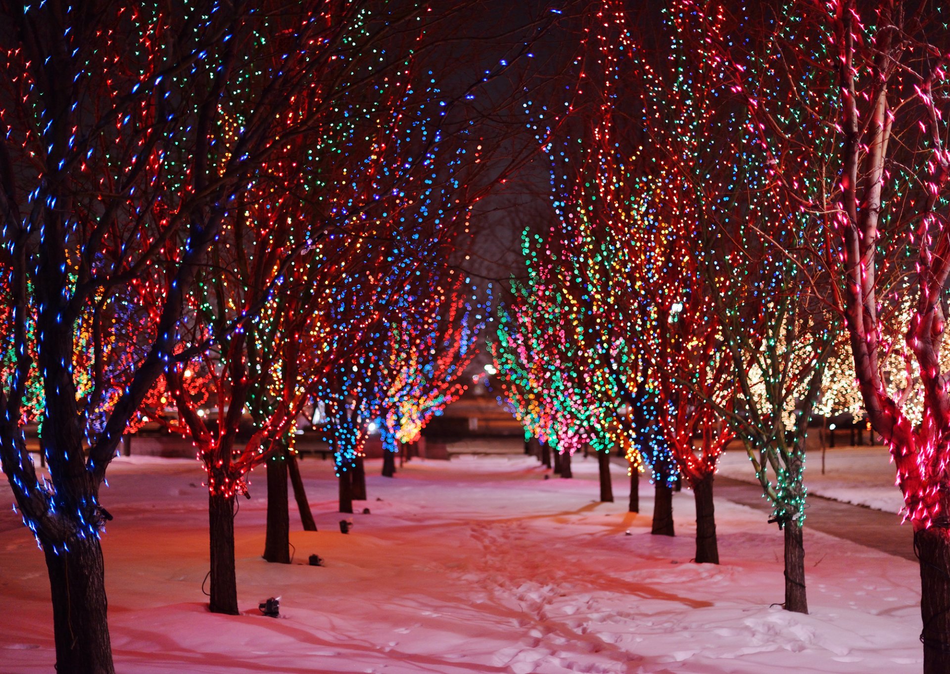 bäume zweige girlande lichter lichter bunt straße gasse schnee spuren nacht natur feiertage winter