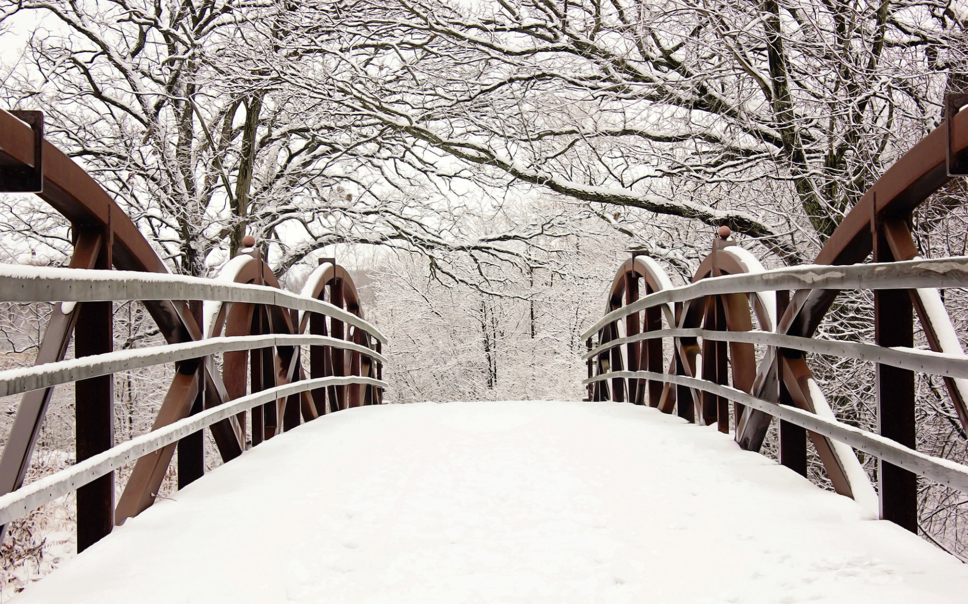 bridge fence tree branches snow winter nature