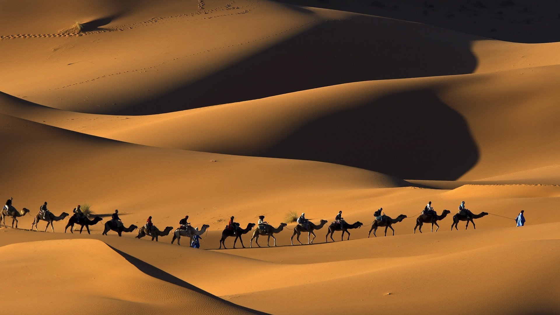 sabbie natura deserto cammelli roulotte sahara marocco