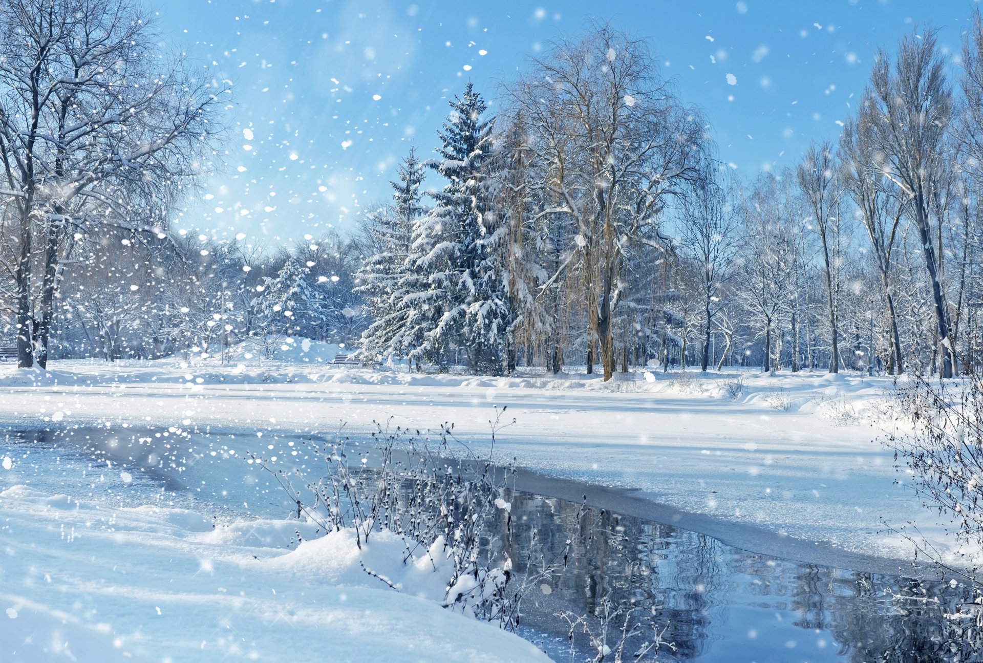 nature paysage ciel arbres hiver neige lac