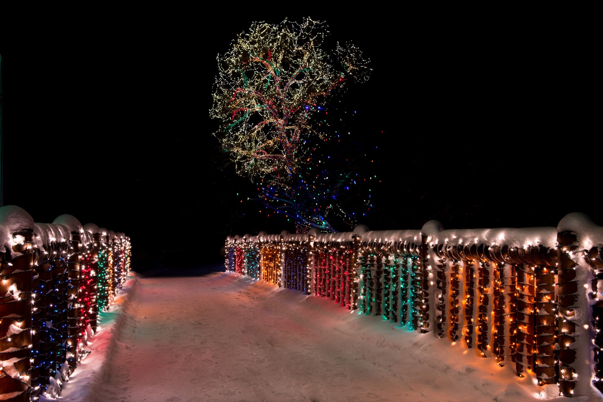 night bridge lanterns tree snow winter