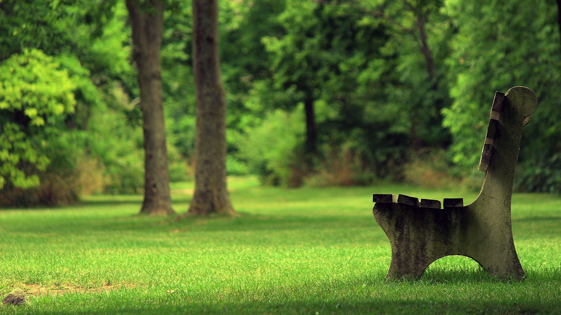 ławka park lato trawa drzewo ławka