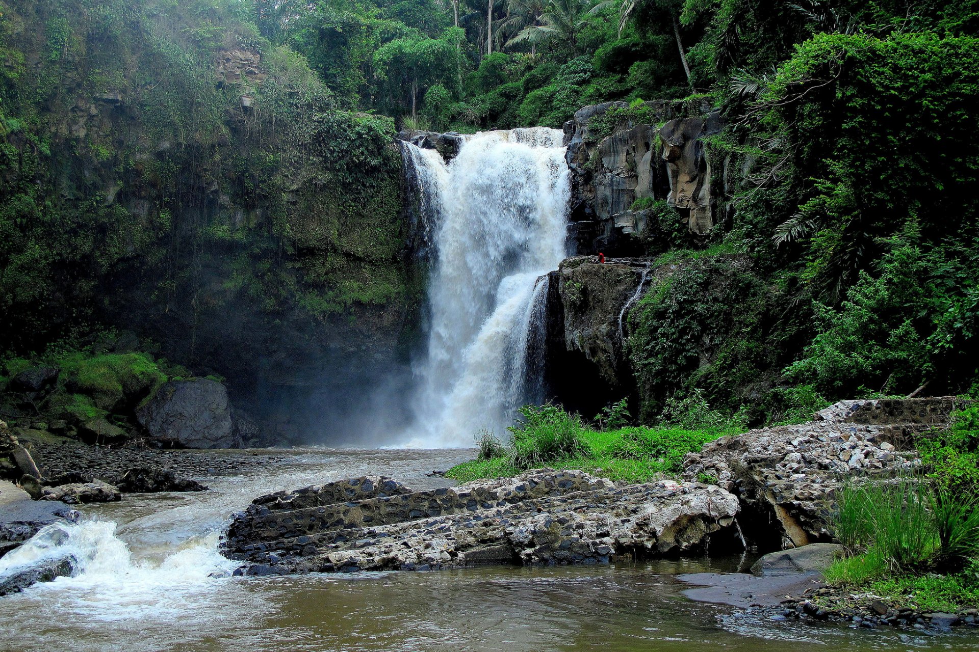 cascade de tegenungan bali indonésie cascade roches jungle rivière forêt