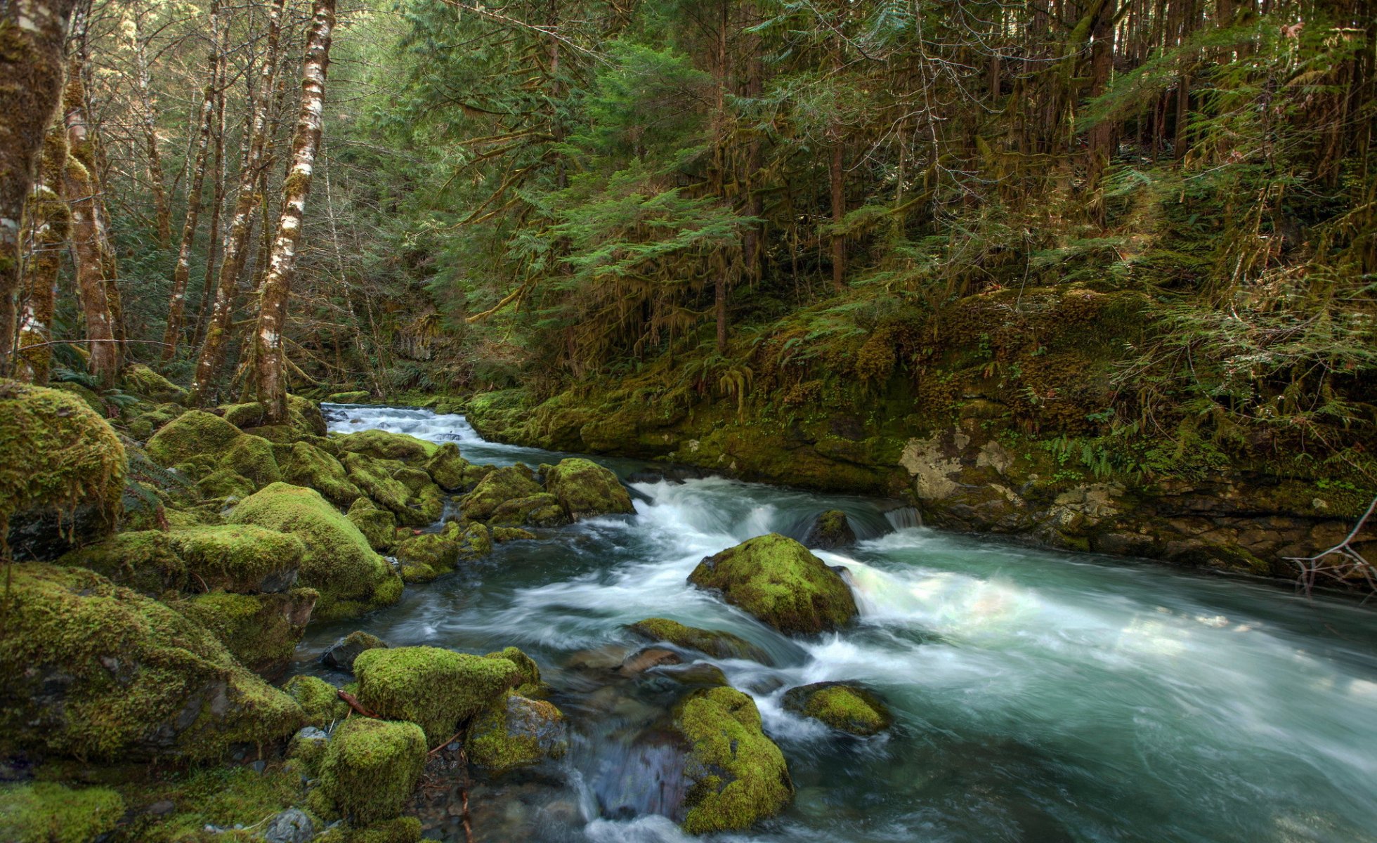 forest river feed stones mo