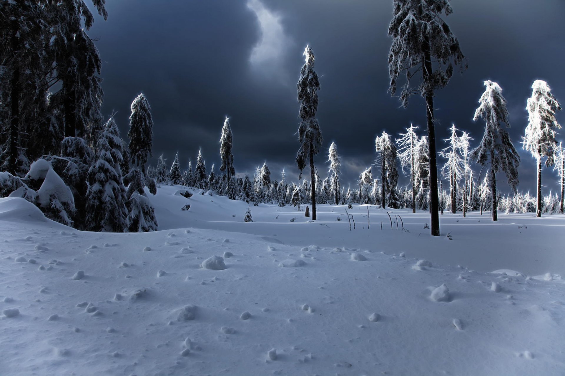 invierno apocalipsis invierno nieve derivas