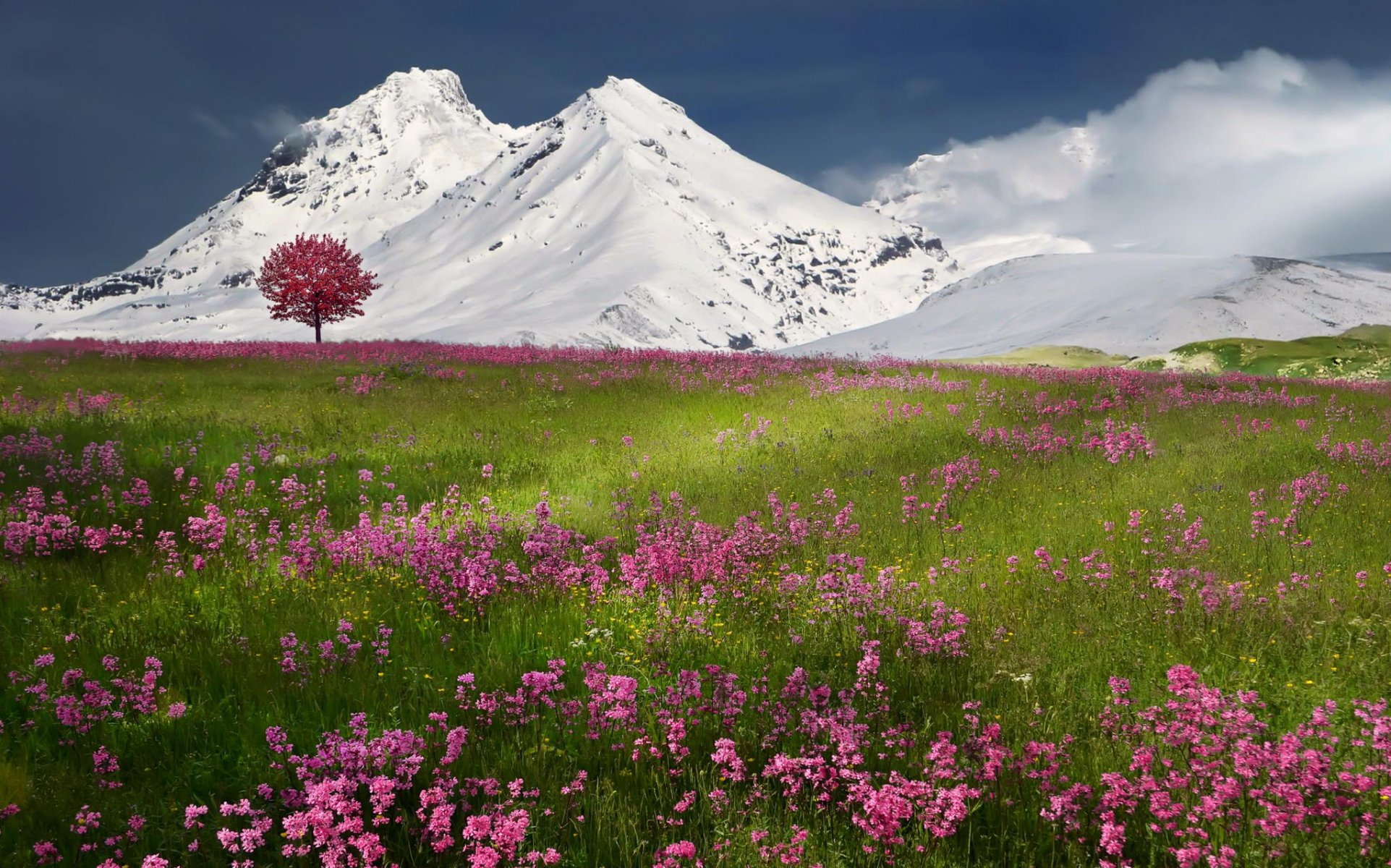 montagnes neige nature printemps hiver