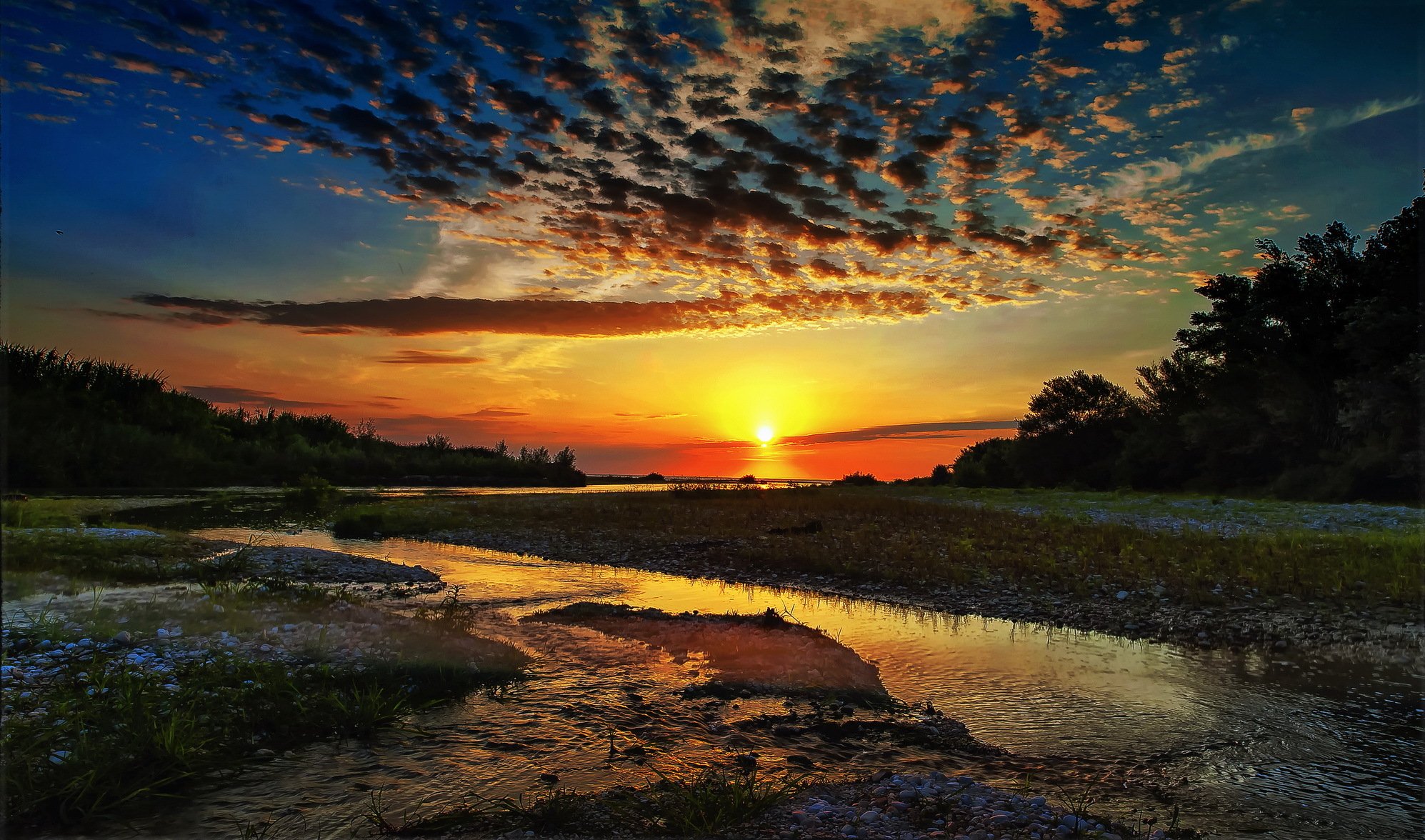 foresta fiume sole alba