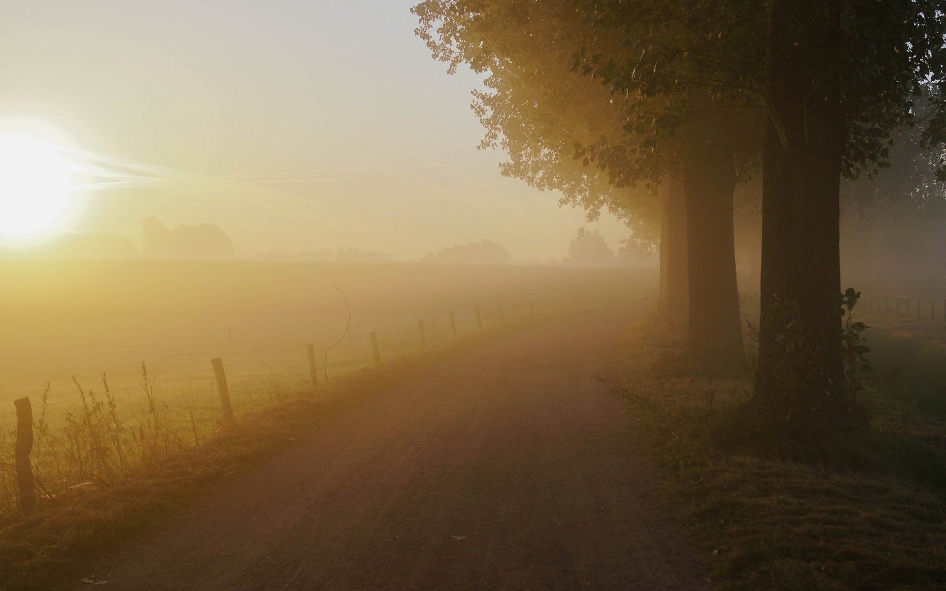 nature landscape tree trees leaves leaves greenery grass path path fence fence background wallpaper widescreen fullscreen widescreen widescreen