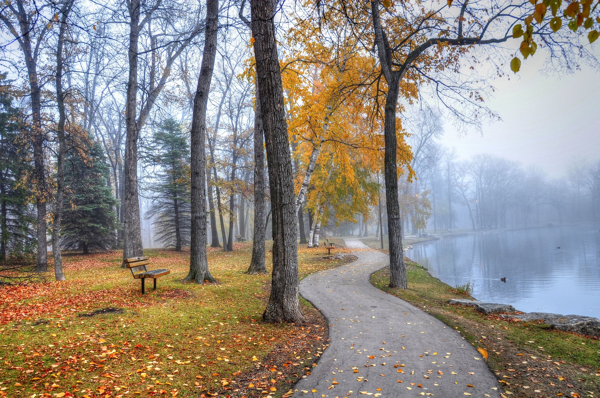 park ścieżka ławki jezioro jesień