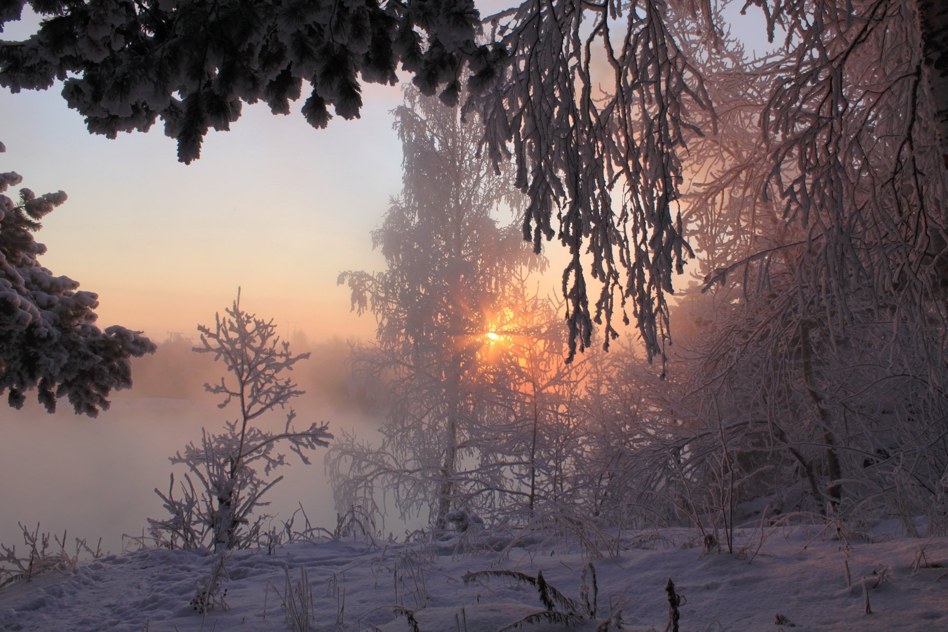 inverno mattina foresta neve sole raggi