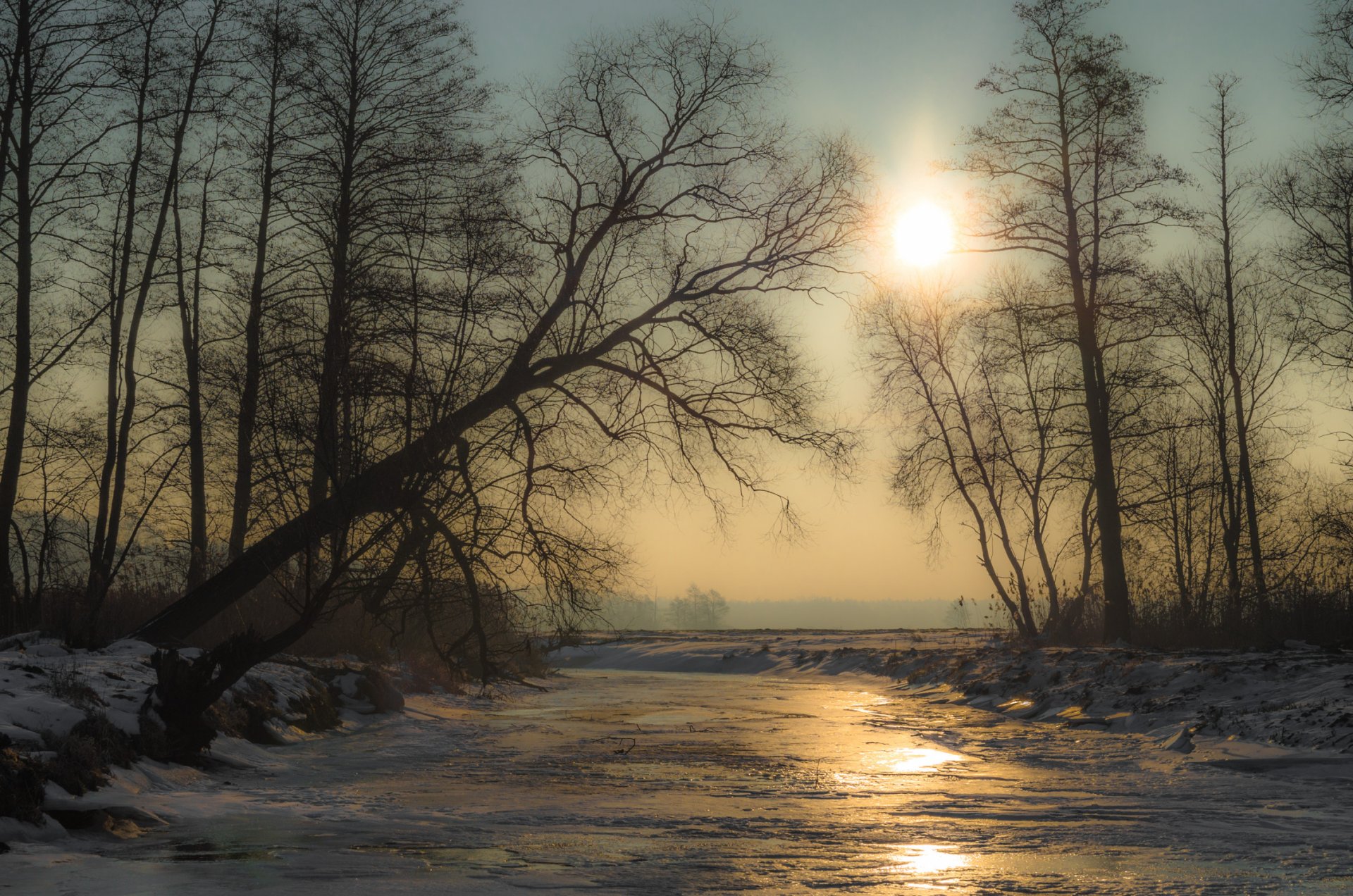 bäume fluss eis schnee winter sonne