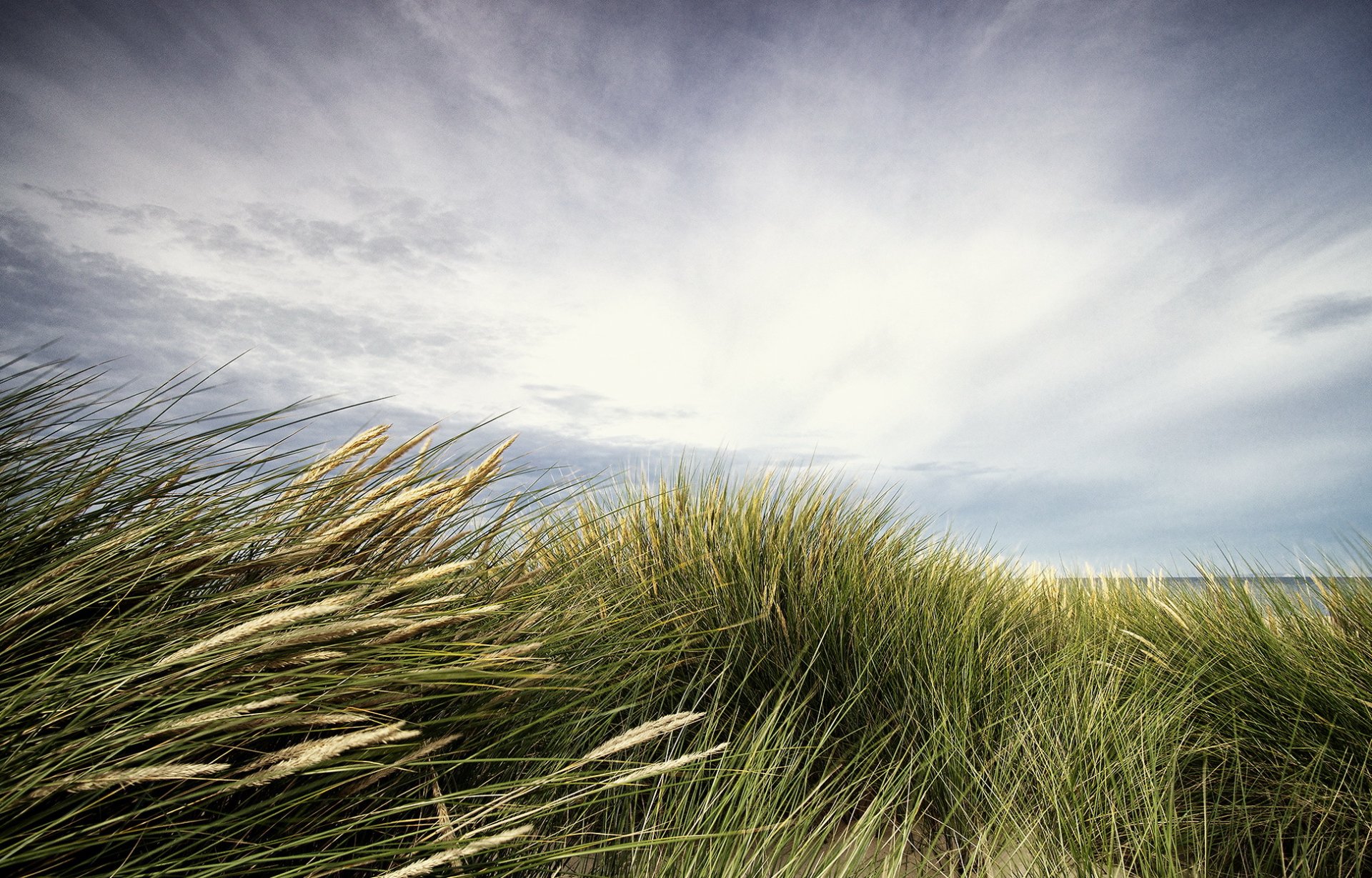 mer plage herbe