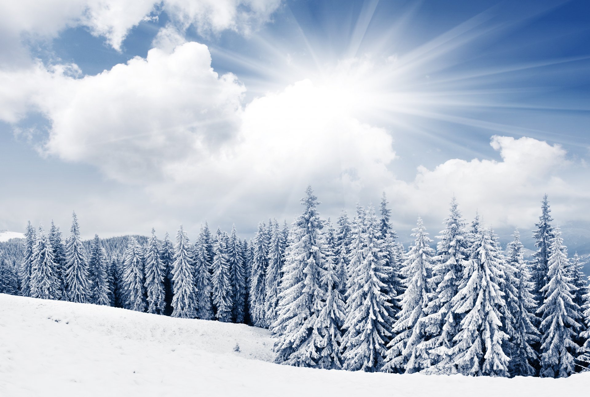 invierno abetos árboles sol cielo nubes nieve montañas