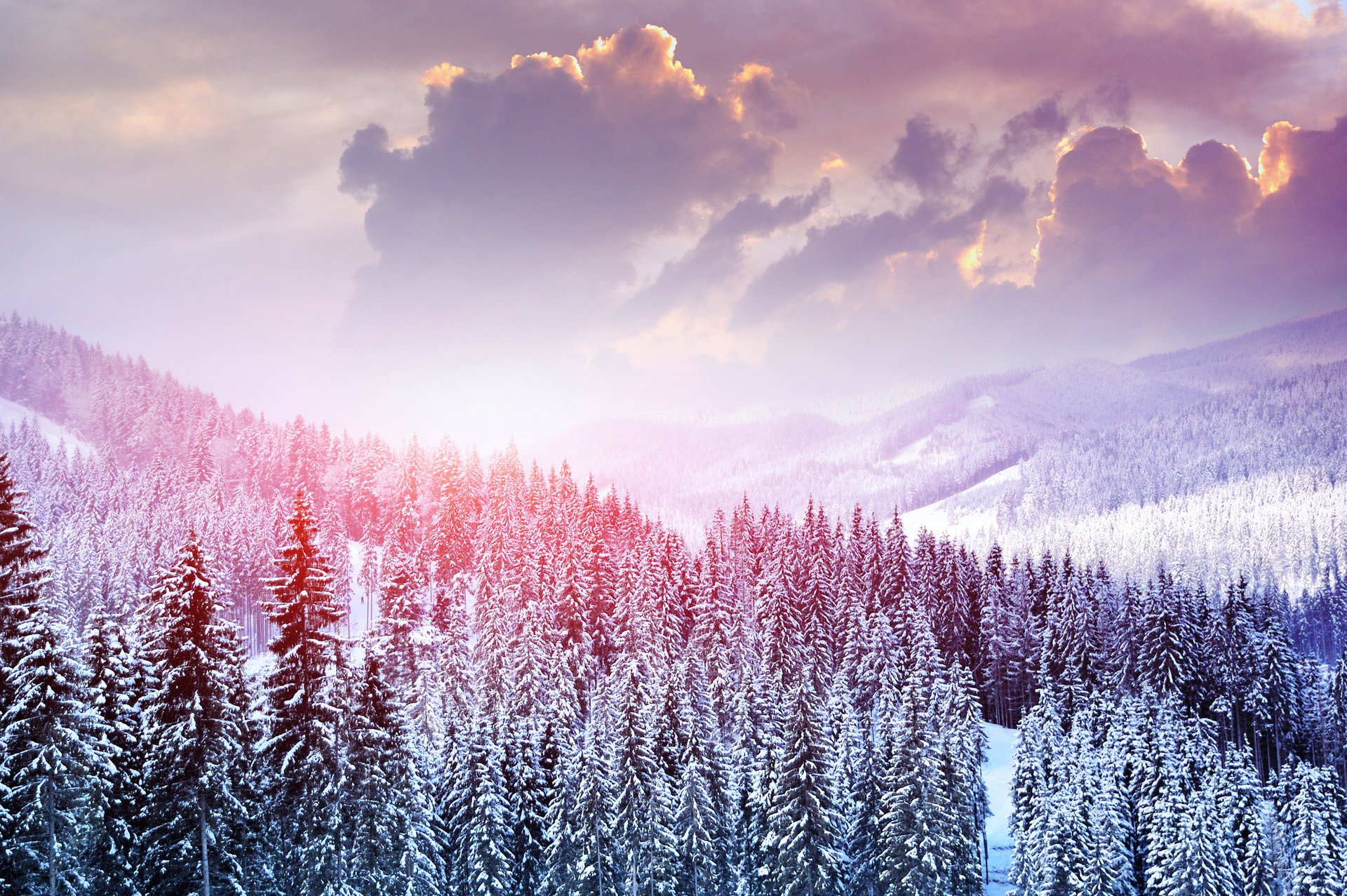 nature landscape winter snow tree mountain forest sky cloud