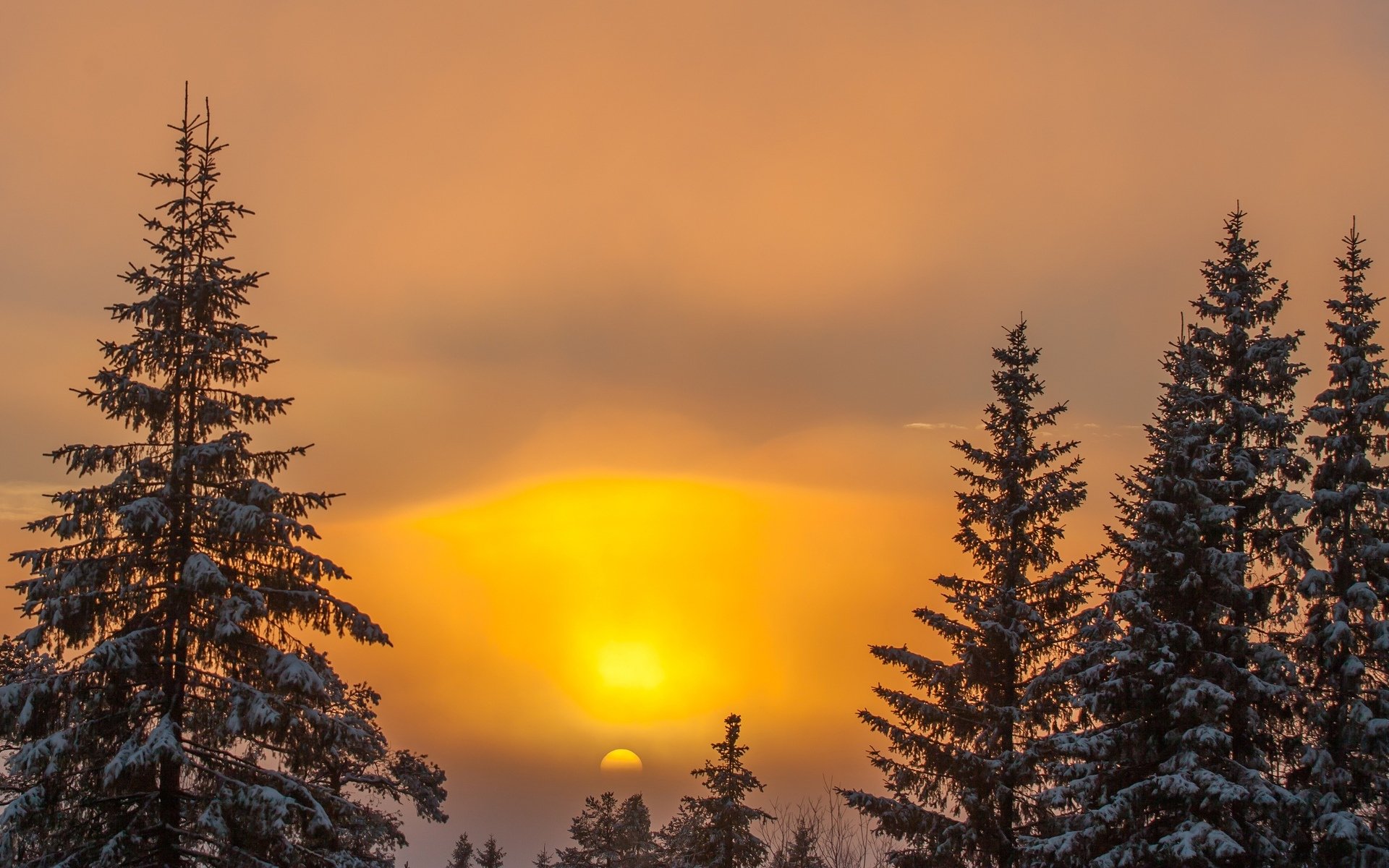 natura inverno neve alberi albero sole cielo tramonto sfondo carta da parati widescreen schermo intero widescreen