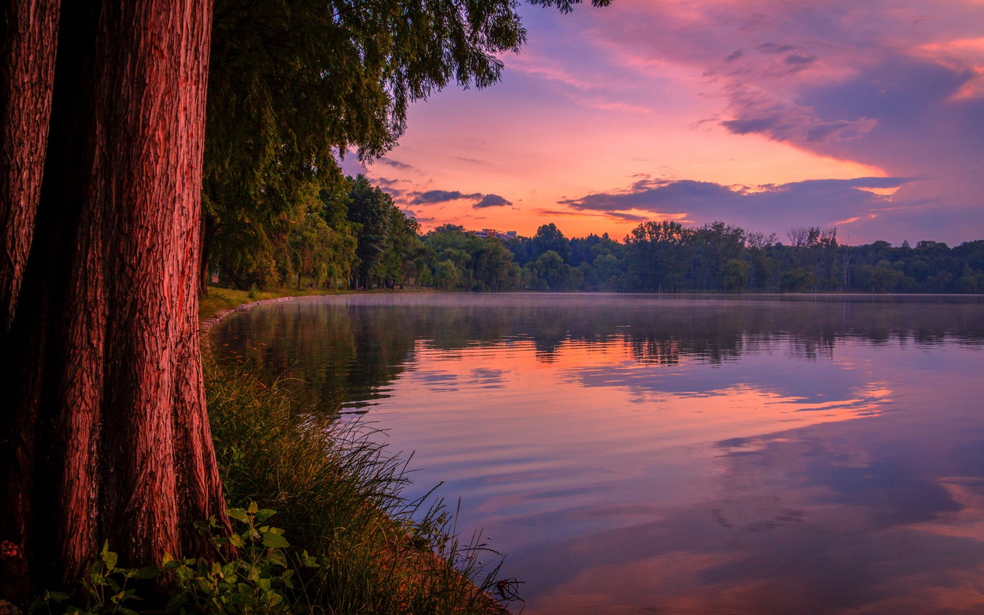 forêt lac coucher de soleil