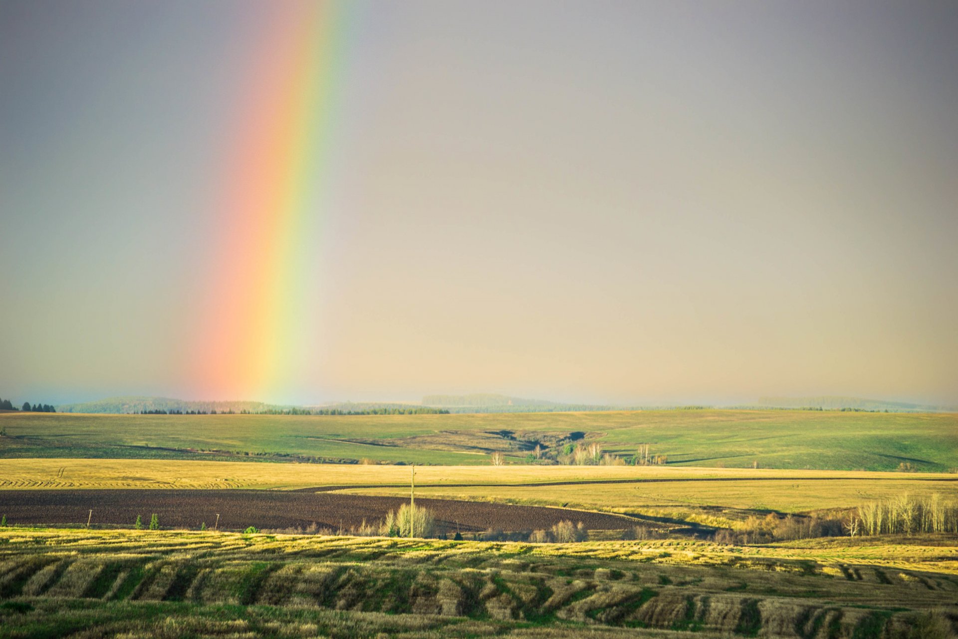 campi estate arcobaleno bellezza natura cielo alberi luce steppa morgendorfer