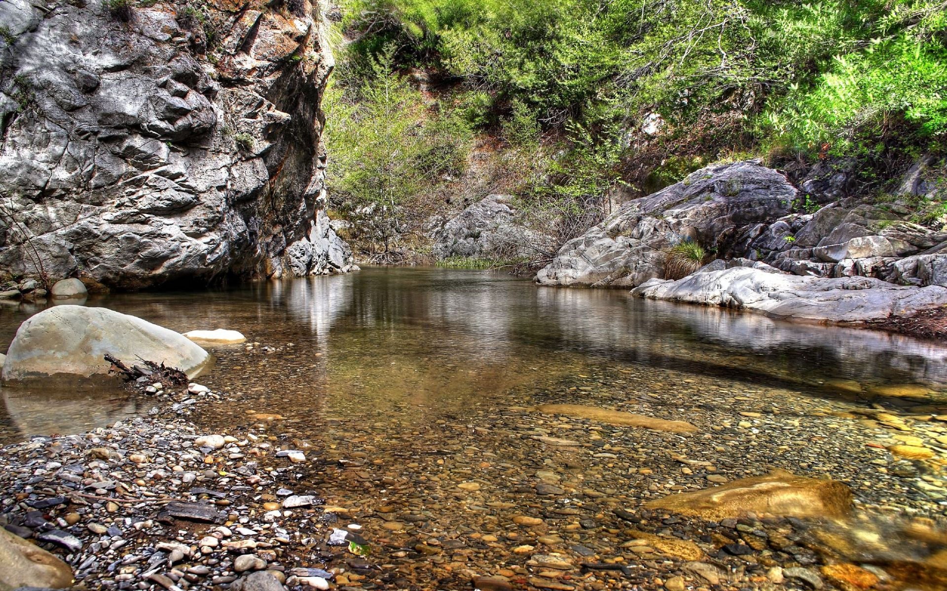 árboles agua piedras hojas naturaleza