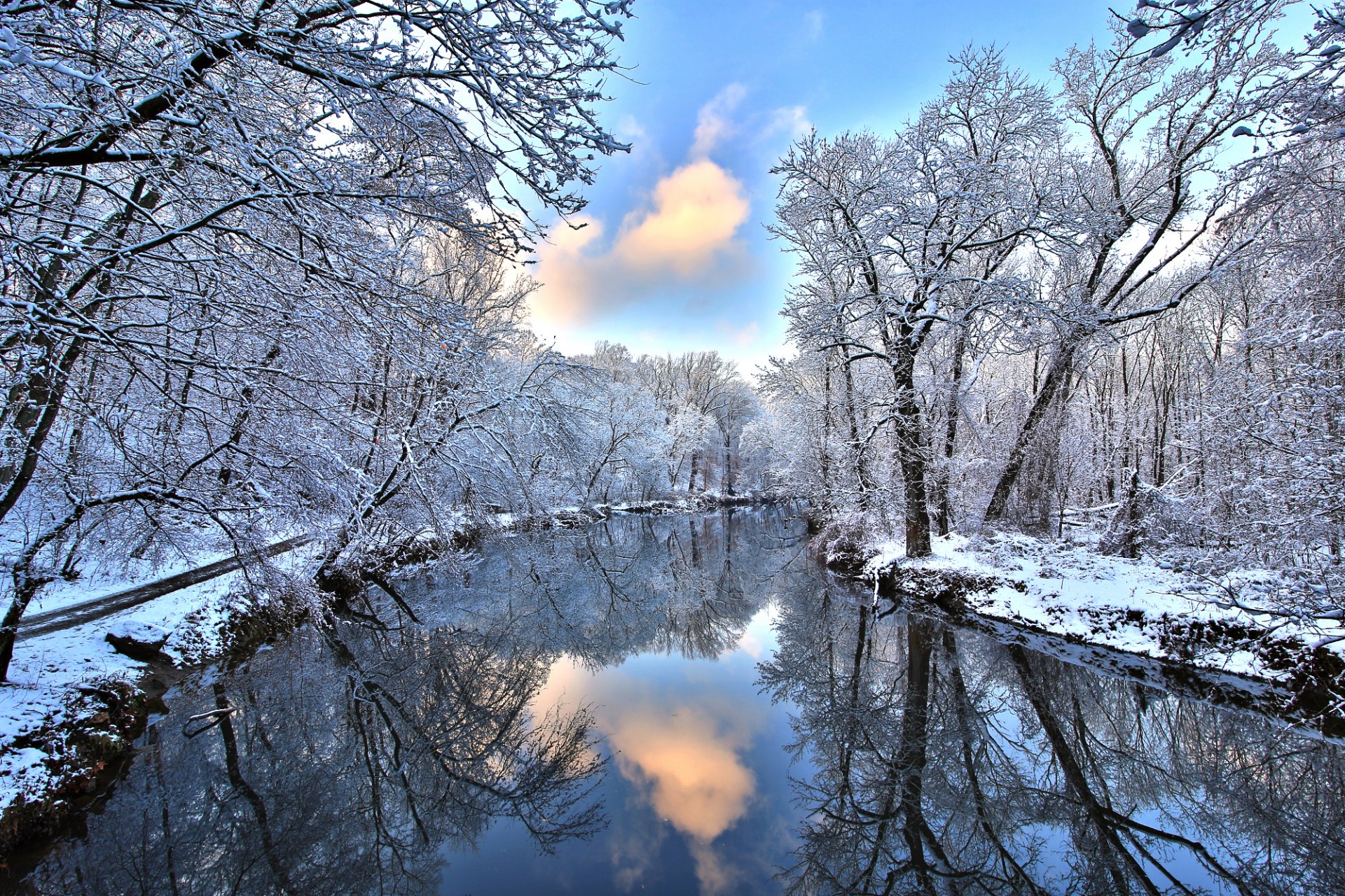 bosque río invierno nieve reflexión