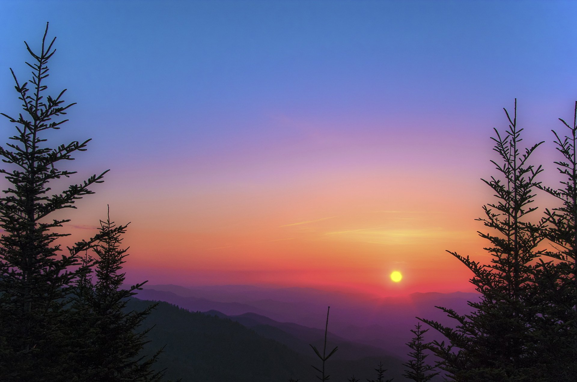 montañas bosque árboles árboles de navidad sol mañana amanecer