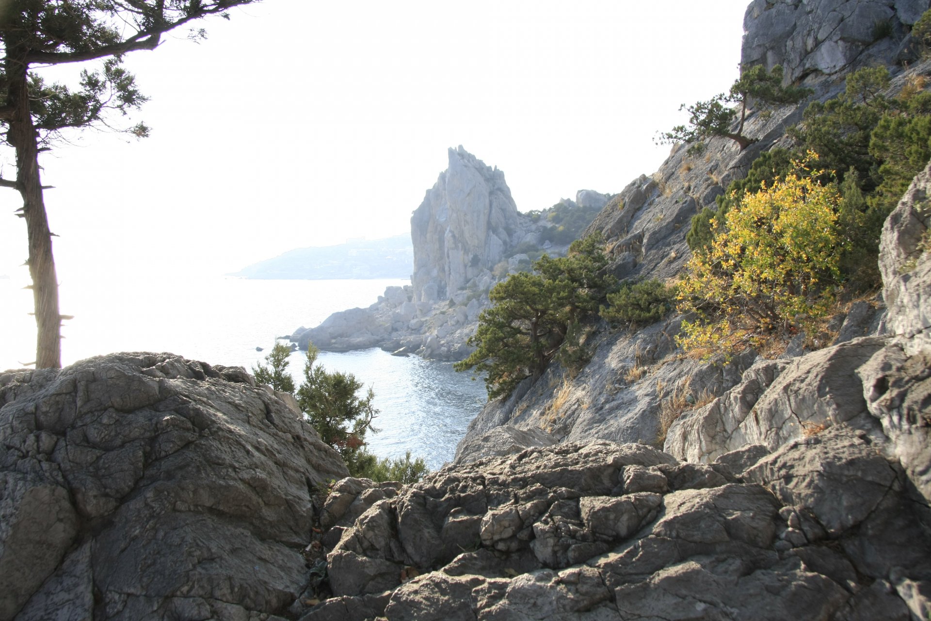 nature crimée aile de cygne montagnes mer repos voyage fond d écran