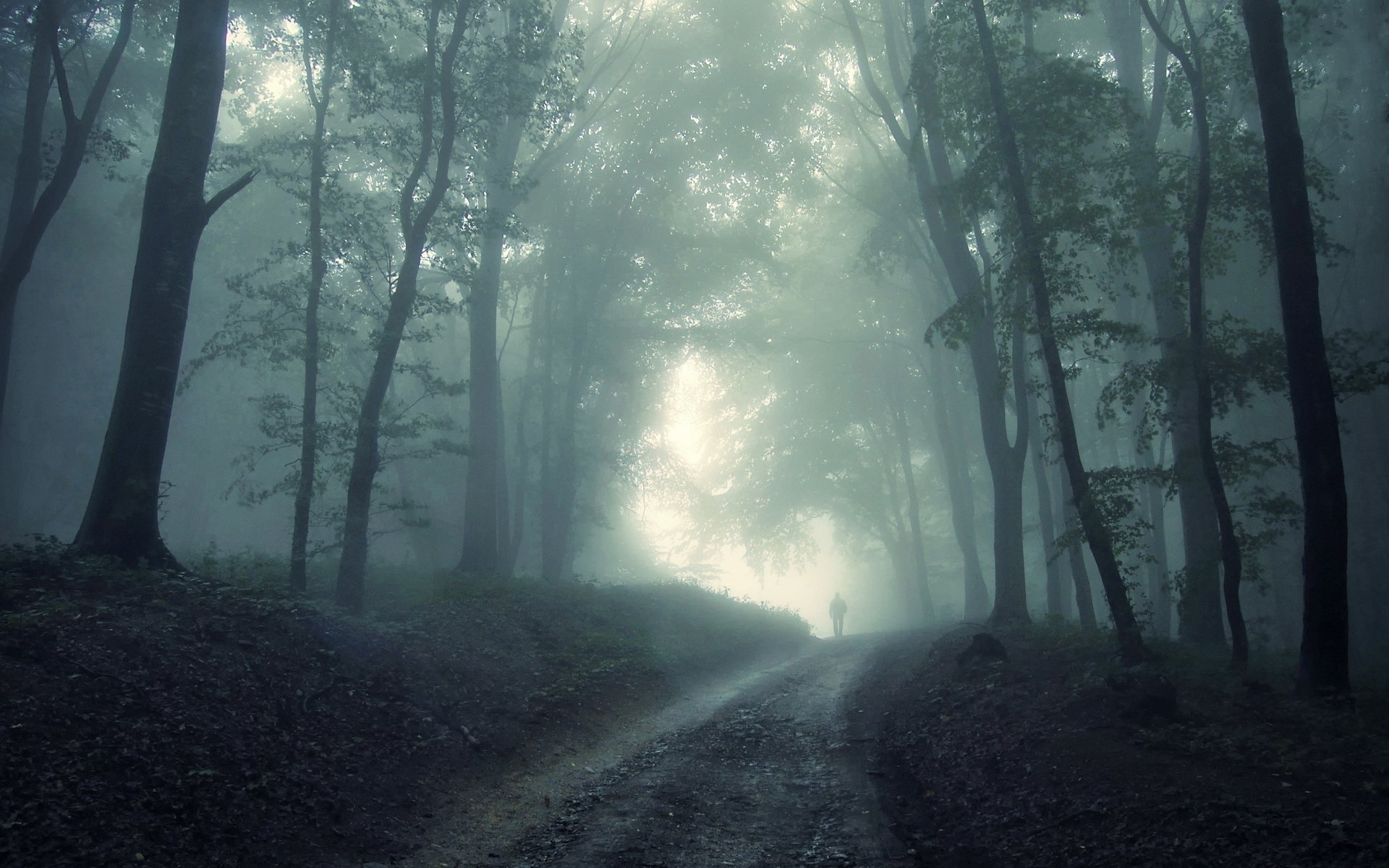 forêt brouillard homme peur fantôme obscurité imprévu