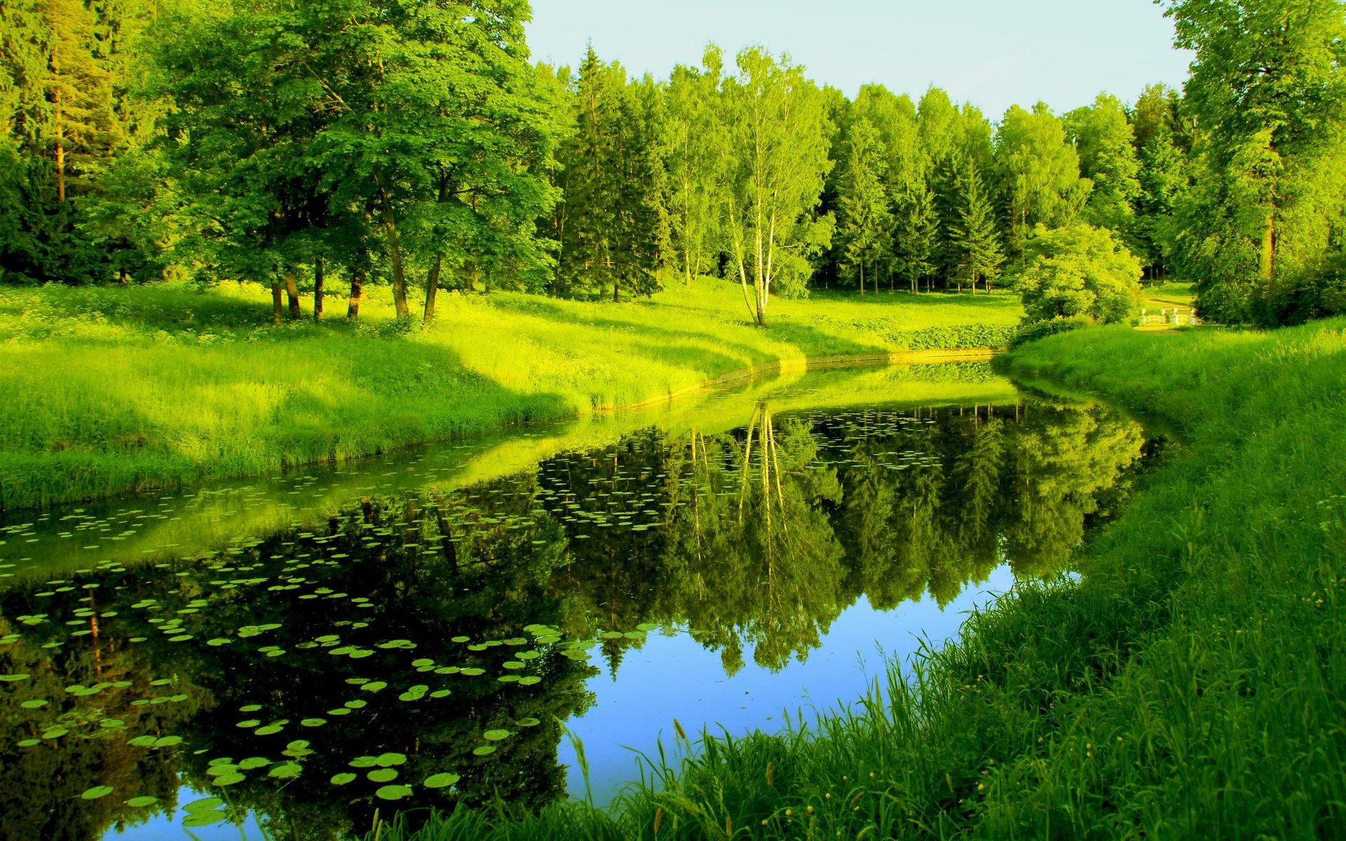 nature rivière arbres verdure réflexions